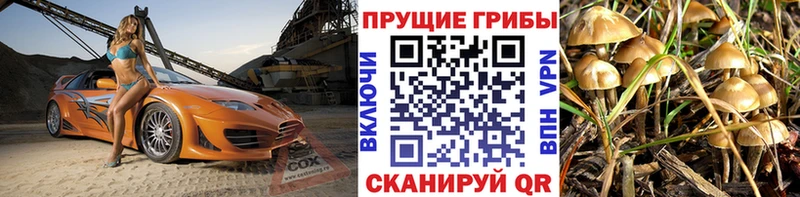 Купить где Волжск Псилоцибиновые грибы мухоморы